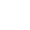 Project Type
