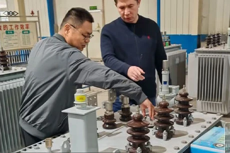 Azerbaijani Customers Visit Huarui Electric for Power Equipment Cooperation