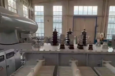 Liaocheng Huarui Oil-Immersed Transformers | Reliable Power Solutions for Global Projects